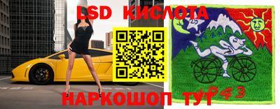 ГАЛЛЮЦИНОГЕННЫЕ ГРИБЫ Кунгур
