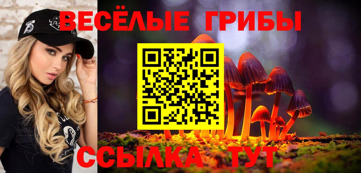 Галлюциногенные грибы Magic Shrooms  Псилоцибиновые грибы ЛСД  Екатеринбург  Вход с VPN 